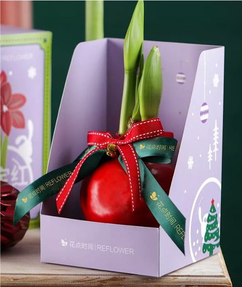 花卉租赁，如何打造行业领先品牌