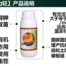 毒死蜱防治地下韭菜蛆的优势