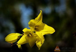 浇水要卡生物钟
