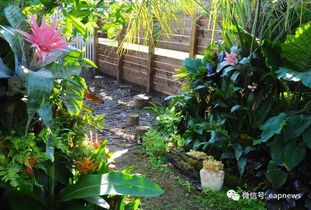 种花种菜，健康又快乐！