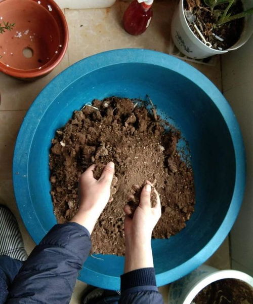 三、腐殖土和机肥的差异