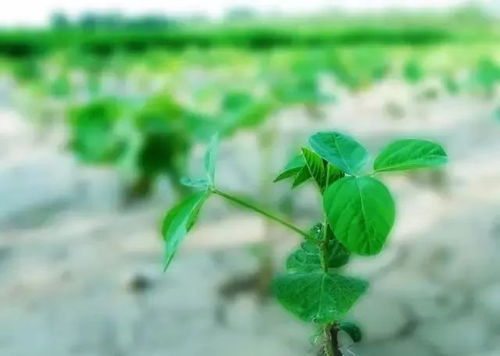 使用方法， 要记牢