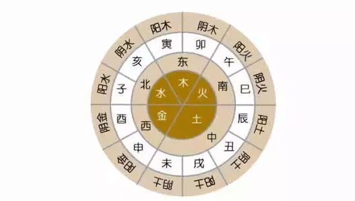 金豆子种子如何播种？土壤和光照条件有何要求