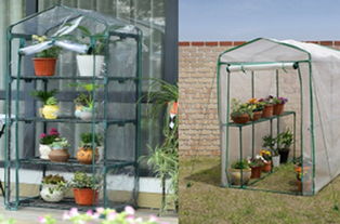 冬季花卉保暖的“家常”攻略