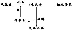 作物的生长周期与打农药时间