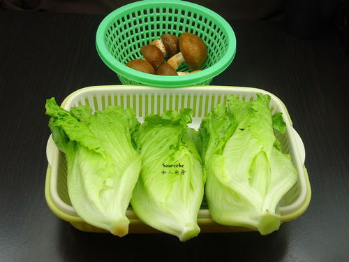 生菜叶子发黄枯萎，用什么农药治疗效果最好