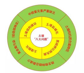 土壤类别：不嫩忽视
