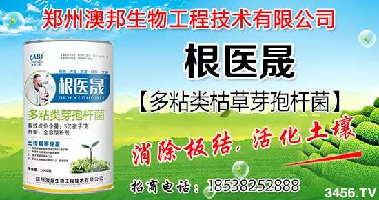 敌克松加甲霜灵混用防治土传病害效果如何，实测防效能提升40%吗？