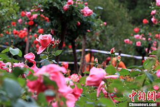 生活小经验分享