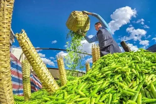不用再翻书， 手机搞定