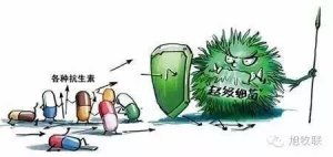 粘杆菌素与多种抗生素协同，可显著提升畜牧养殖中疾病防治效果