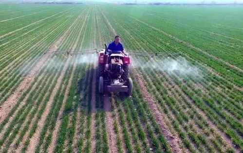 除草剂的选择：关键时期的正确使用