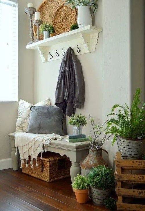 玄关空间小适合放什么花？新手推荐哪种花好？