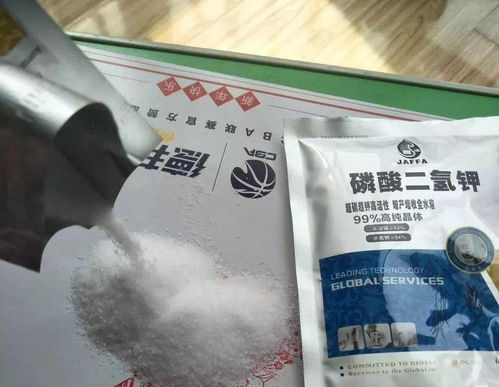 吡虫啉喷后多久见效？喷一次后多久再喷第二次合适？