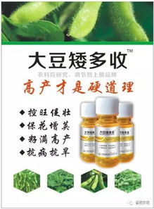 大豆控旺， 初花期Zui妙，烯效唑粉剂来帮忙