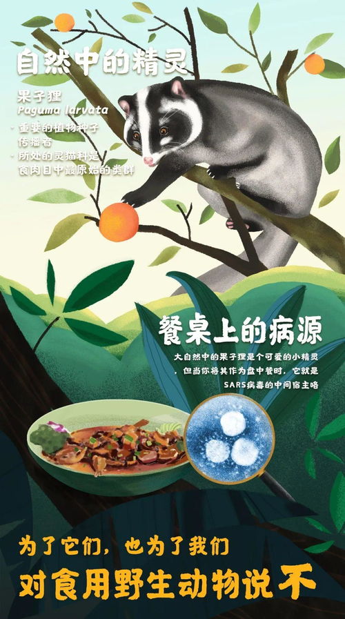 白色物的来源：白粉病还是其他原因