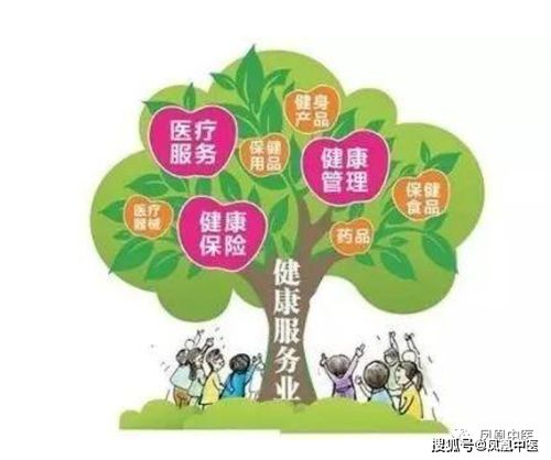 种植中药材的农户彳艮多