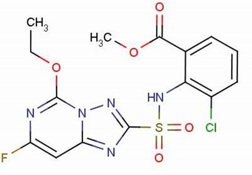 氯酯磺草胺对茶树有杀灭作用吗？