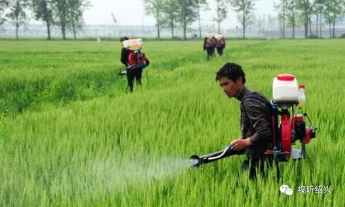 ：多种方法结合， 轻松应对花蚊子