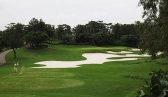 耐力十足，不怕踩