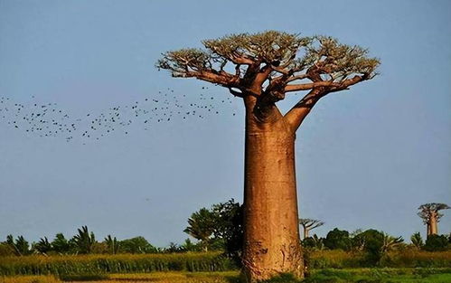 科研价值，探索的源泉