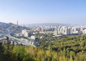 城镇绿化黑科技