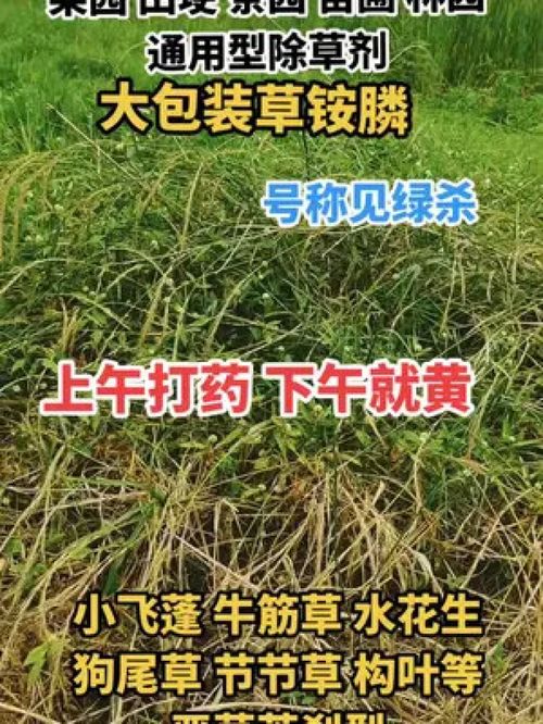 精草铵膦：不伤土壤， 不伤作物根系