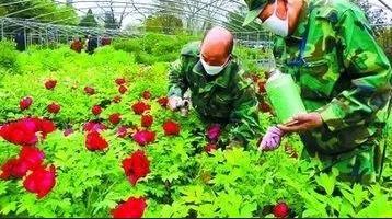 如何判断是否适合施肥