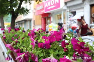 园林绿化常用花卉