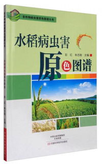 杜邦康宽：广谱杀虫剂， 高效、长效、低残留