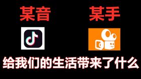 白面鸮价格揭秘：白面鸮多少钱一只