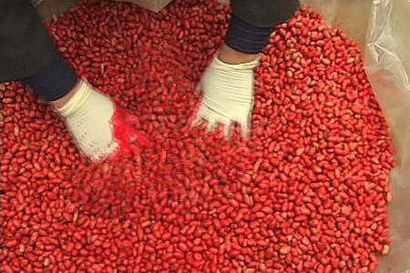 花生病害防治：多样药物应对不同挑战