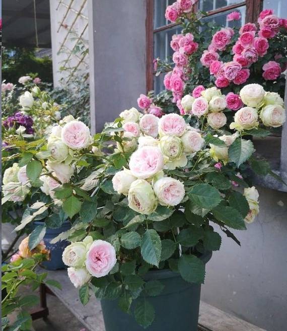 工具准备大揭秘