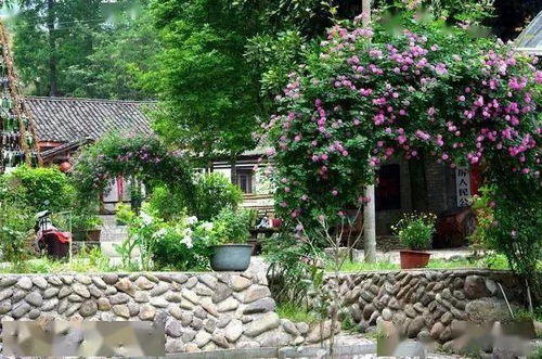 南北气候，植物各异