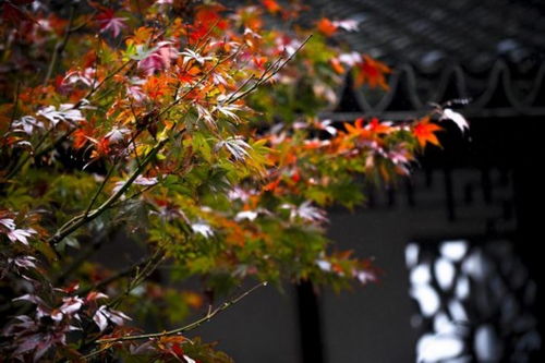 土壤的疏松与排水