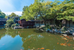 园林小潭，名字背后的故事