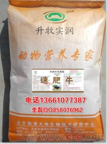 冬天肉牛饲料中豆粕和棉粕比例如何，它们在营养成分上有哪些具体差异？