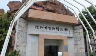 踩过坑的公司， 也来说说