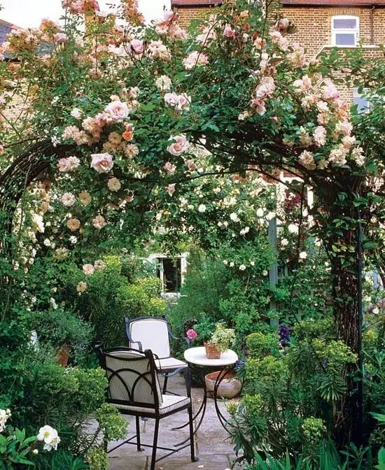 湖南夏季花园荒？7-9月有哪些开花植物适合种植？