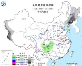 华北地区气候条件下蚕豆生长表现如何