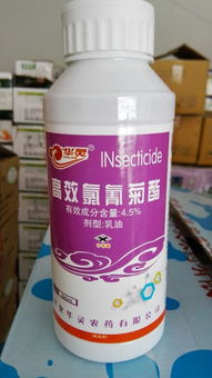 高效氯氰菊酯， 你的杀虫好帮手