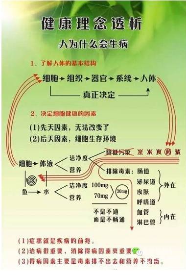退烧药在处方治疗中如何精准使用？用对才有效果