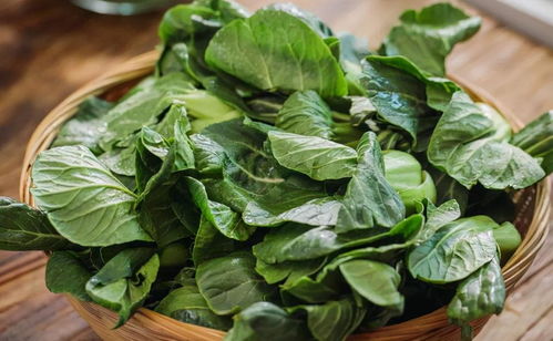 “青菜植物属性揭秘，花卉爱好者必看！”