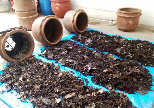 废弃煤气罐大变身， 金属熔炉DIY