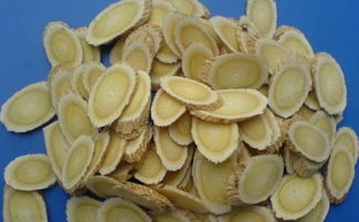 杏核发芽慢怎么办？试试这些土方法！