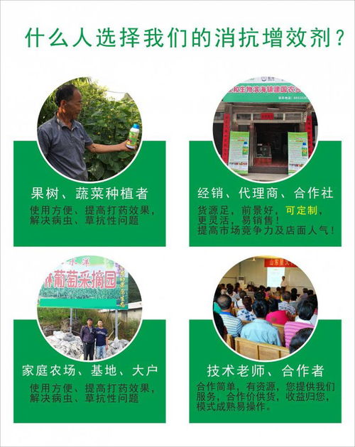 进口多菌灵在梨树病虫害防治中如何提高防治效果？