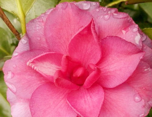 天气变化，浇水也要变