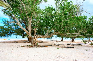 价格波动，犹如股市
