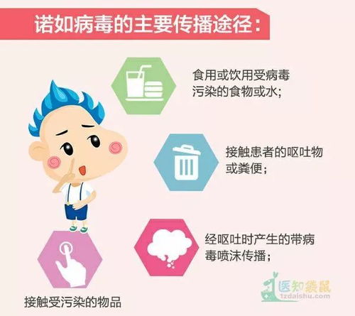 猪流感类型解析：症状各异