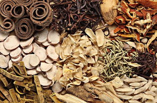 新手适配对照表